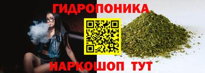 jwh Пушкино