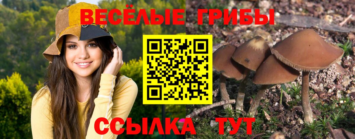 Псилоцибиновые грибы мицелий  Вход с VPN  Сунжа 